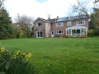 Southdown