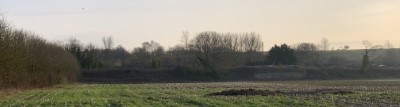 View looking south